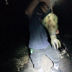 イェーイ!!!前田!!見てるぅ〜!?