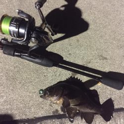 なぐさめバル(つω･`)⊃