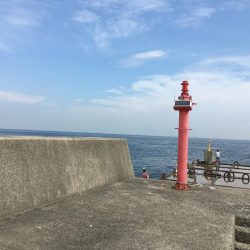 沖の北で青物狙い