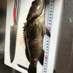 初フカセはクエ（笑）