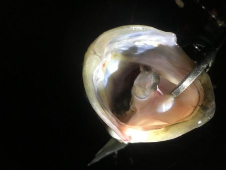 うっすらとバチ抜けてます。