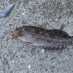 途中でカメラ不調