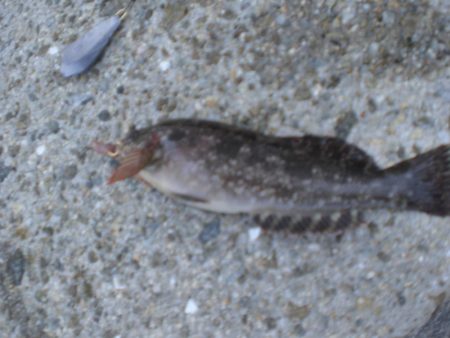 途中でカメラ不調