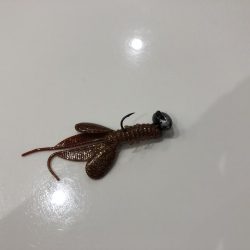 久しぶりのシーバス