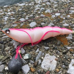 昼休みにオクトパッシング!