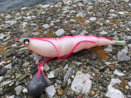 昼休みにオクトパッシング!