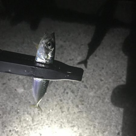 なんとか一杯。