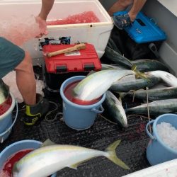 ブリキャスティング