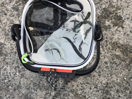 舞子  夜サバボウズ