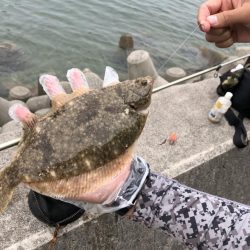 三日連続のキス釣り·····嬉しい魚も