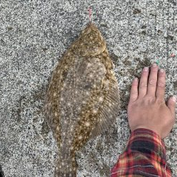 まさかのイシガレイ(^^)