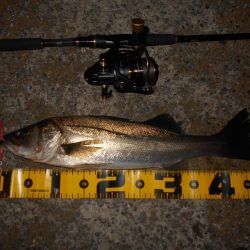 思った程では無い…。