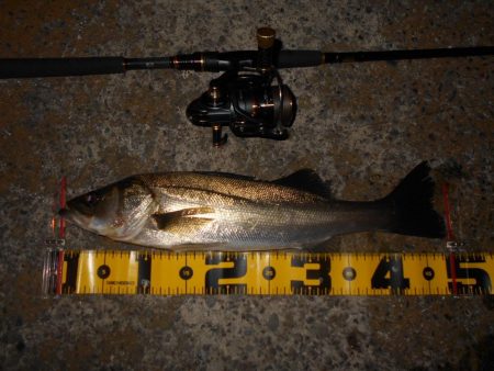 思った程では無い…。