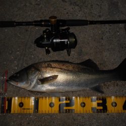 状況に応じて狙い分ける