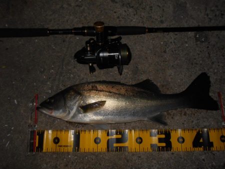 状況に応じて狙い分ける