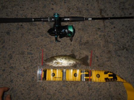 久しぶりのバスフィッシング…