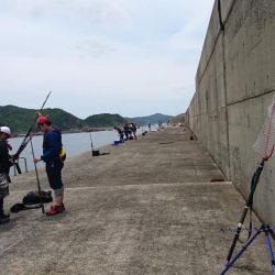 小浦一文字でブリ