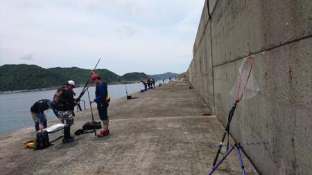 小浦一文字でブリ