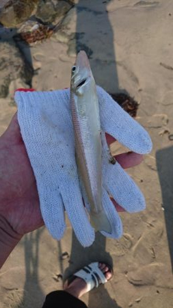 ちょい投げキス