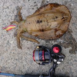 諦めかけたその時!4