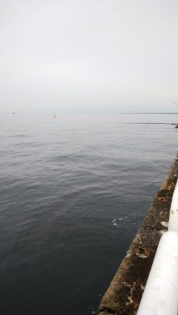 今日もツバス釣り