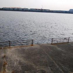 今日は一転シブい