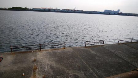 今日は一転シブい