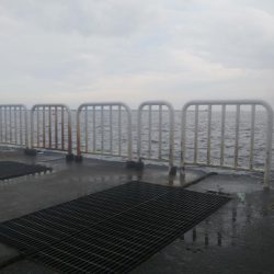 今日はシブイしバラシも多かった