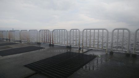 今日はシブイしバラシも多かった