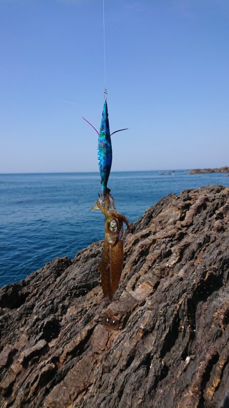 ガシラとコロッケ