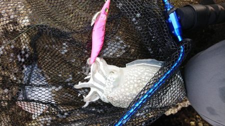 いかいか(*˙ᵕ˙ *)