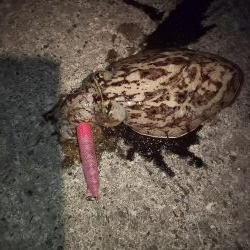 天気予報が大きく外れ