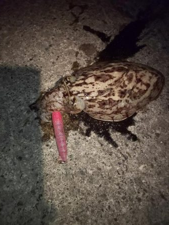 天気予報が大きく外れ