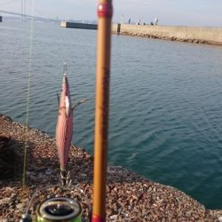 初淡路島エギング&ライトゲーム♪