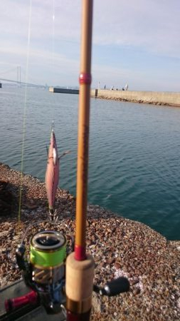 初淡路島エギング&ライトゲーム♪