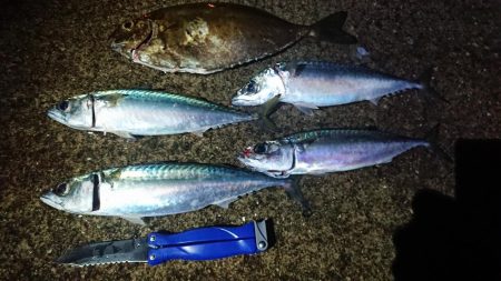 またまた中サバゲー