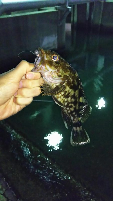 ライトロックゲーム