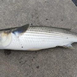 今日は何祭り？