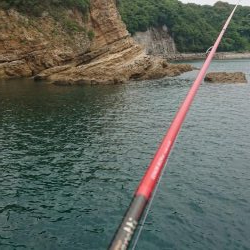 エギング&キス釣り