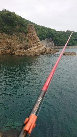 エギング&キス釣り