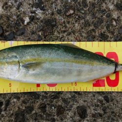 マルチヒット！！