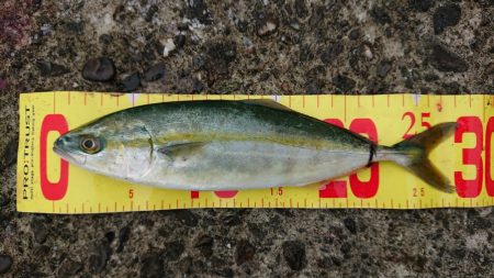 マルチヒット！！