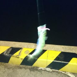 なかなか難しい。