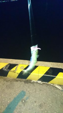 なかなか難しい。