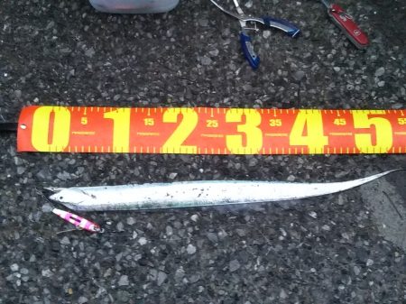 朝夕のマズメにタチウオジギング