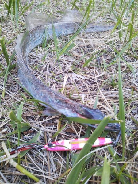 大潮最終日-夕マズメのタチウオジギング