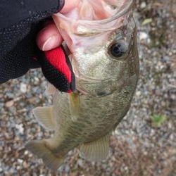 五三川 大雨の後の大増水