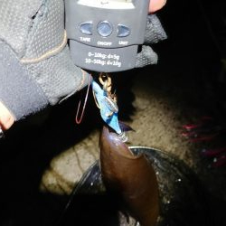 今期の記録更新