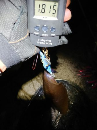 今期の記録更新