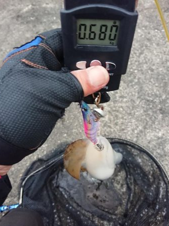 好状況ながら渋い